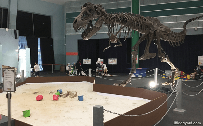 Sand Pit at Robot Dino Factory