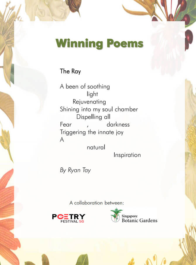 The Ray - Poem by Ryan Tay