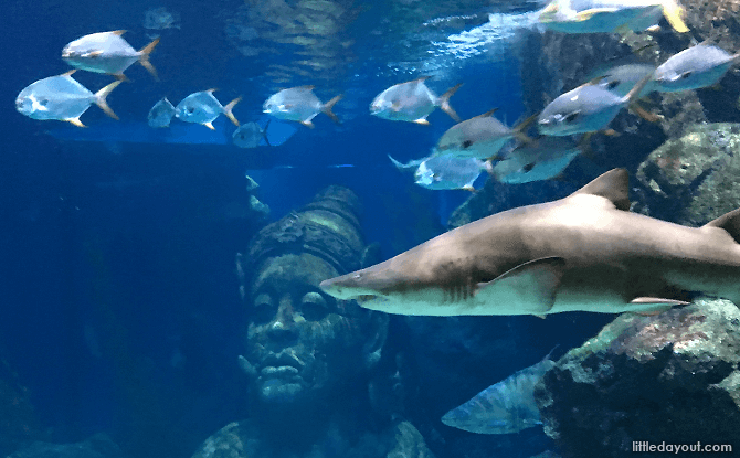 SEA LIFE Bangkok Ocean World: More than an Aquarium SEA LIFE Bangkok Ocean World