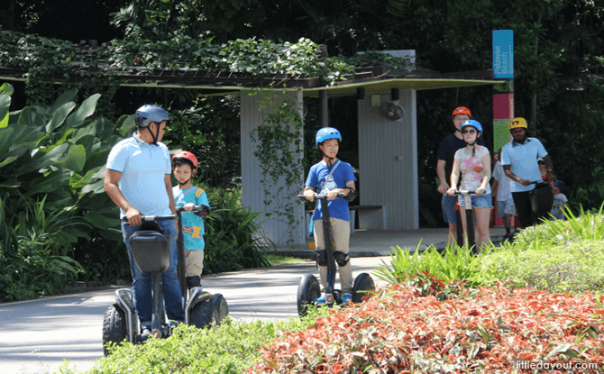 Gogreen Segway Eco Adventure