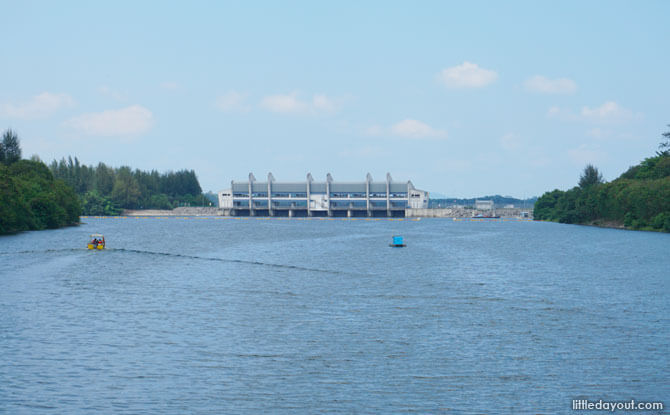 View of Serangoon Reservoir from the Lorong Halus Bridge