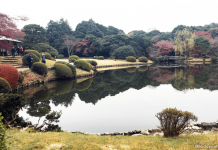 Shinjuku Gyoen National Garden, Tokyo