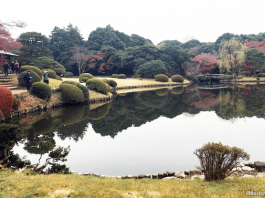 Shinjuku Gyoen National Garden, Tokyo