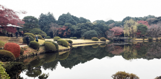 Shinjuku Gyoen National Garden, Tokyo