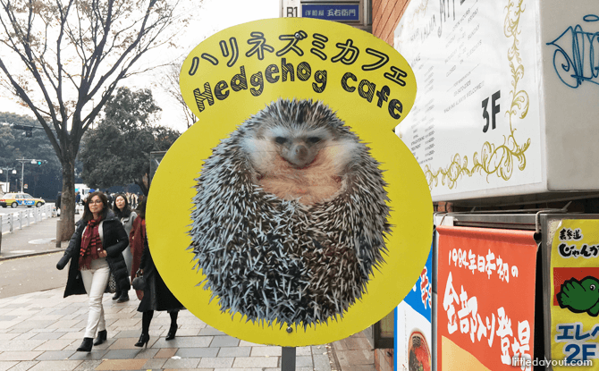 Hedgehog Cafe Street Sign