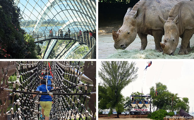 e-singaporediscovers Where To Use Your $100 SingapoRediscover Vouchers: Attractions, Staycations & Tours