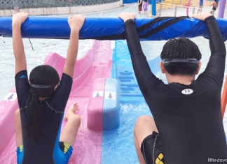 Wild Wild Wet: Waterpark Rides And Attractions Slide at Downtown East's Wild Wild Wet