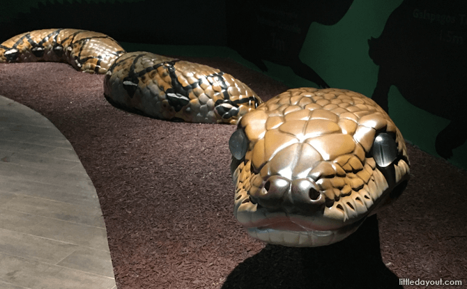 Snake Model