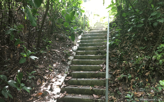 Stairs along the Earth Trail