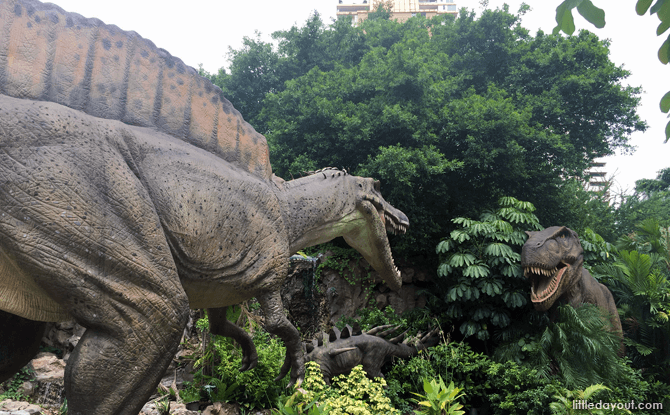 Stars of Dino, Bangkok