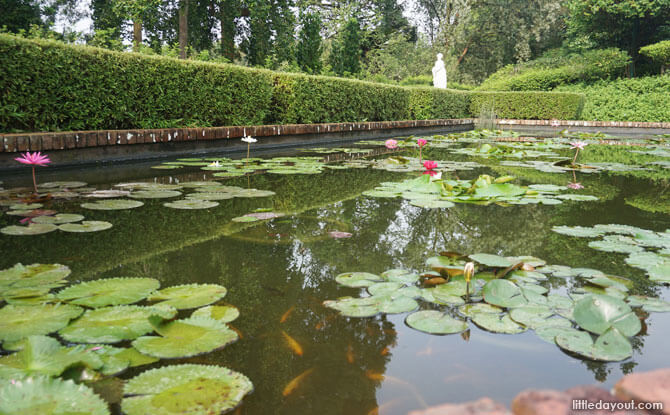 Ponds at Sundial Garden