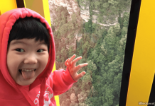 Blue Mountains - Visiting Sydney With Kids: Family-Friendly Things To Do At The Harbour City