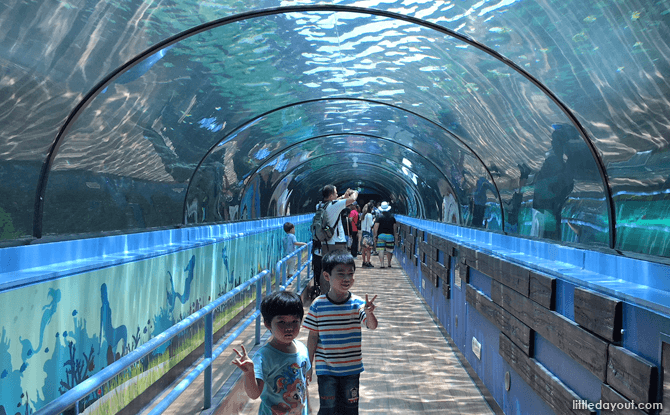 SEA LIFE Sydney Aquarium at Darling Harbour