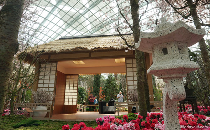 Traditional Japanese Tea House at the Flower Field