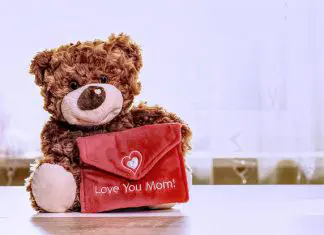 e-teddy-4163239_1920