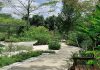 Punggol Waterway Park Therapeutic Garden Opens With Scenic Views