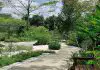 Punggol Waterway Park Therapeutic Garden Opens With Scenic Views