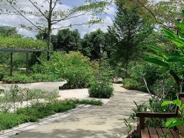 Punggol Waterway Park Therapeutic Garden Opens With Scenic Views