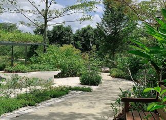 Punggol Waterway Park Therapeutic Garden Opens With Scenic Views Punggol Waterway Park Therapeutic Garden Opens With Scenic Views