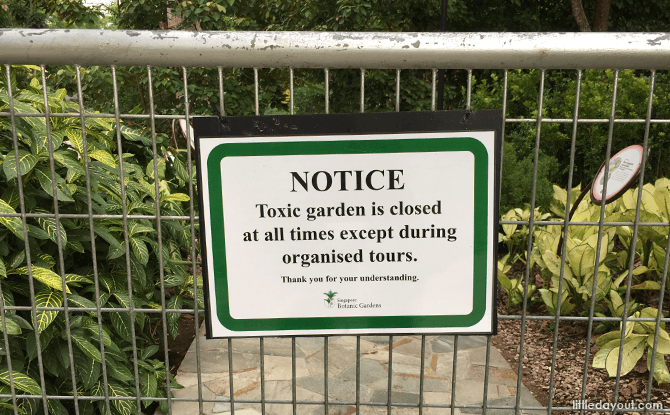 Toxic Garden