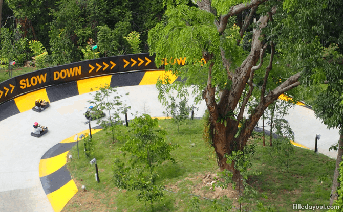 Luge Tracks  Skyline Luge Singapore