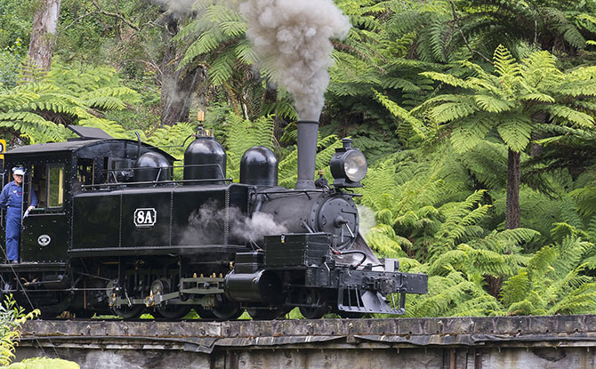 Puffing Billy Steam Train