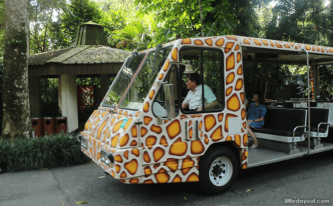 Singapore Zoo Tram