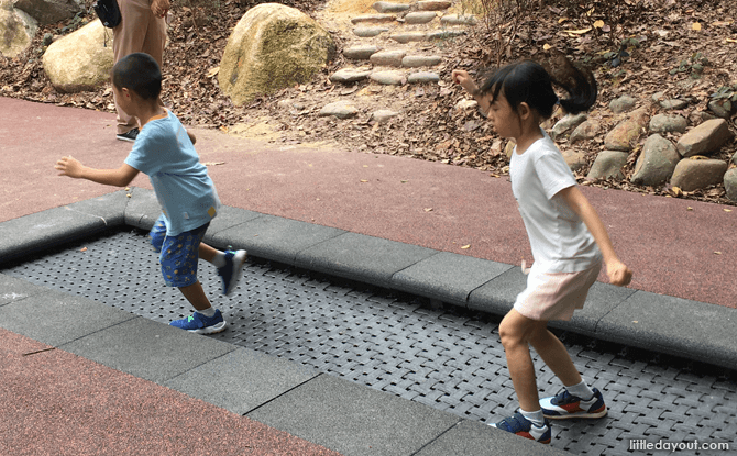 Forest Trampoline, Jacob Ballas Children's Garden Extension