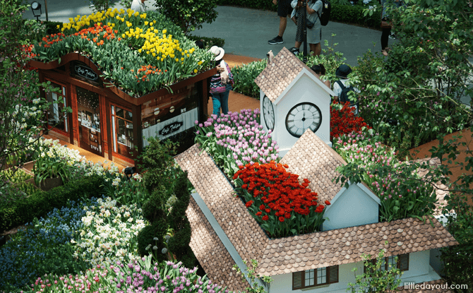 Tulipmania Display at Flower Field, Flower Dome