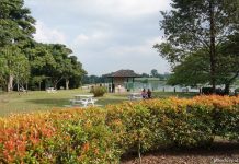 Upper Peirce Reservoir Park: Long Road To The Water Upper Peirce Reservoir Park
