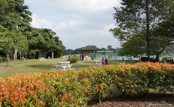 Upper Peirce Reservoir Park