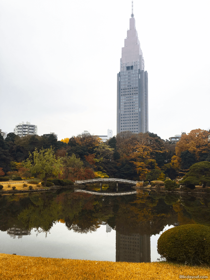 Lake at Shinjuku Gyoen National Garden