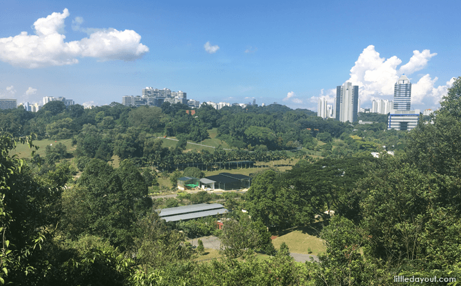 View from Canopy Walk