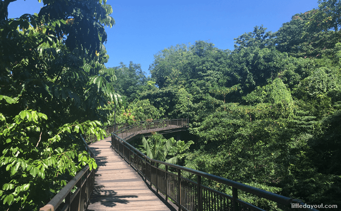 Canopy Walk, Kent Ridge Park