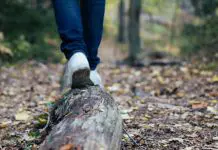 16 Best Walking Trails And Hikes In Singapore To Lace Your Boots For