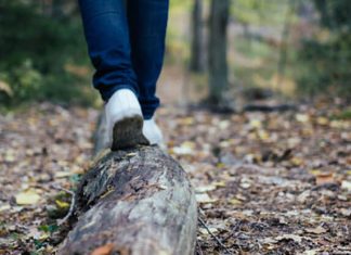 16 Best Walking Trails And Hikes In Singapore To Lace Your Boots For 16 Best Walking Trails And Hikes In Singapore To Lace Your Boots For