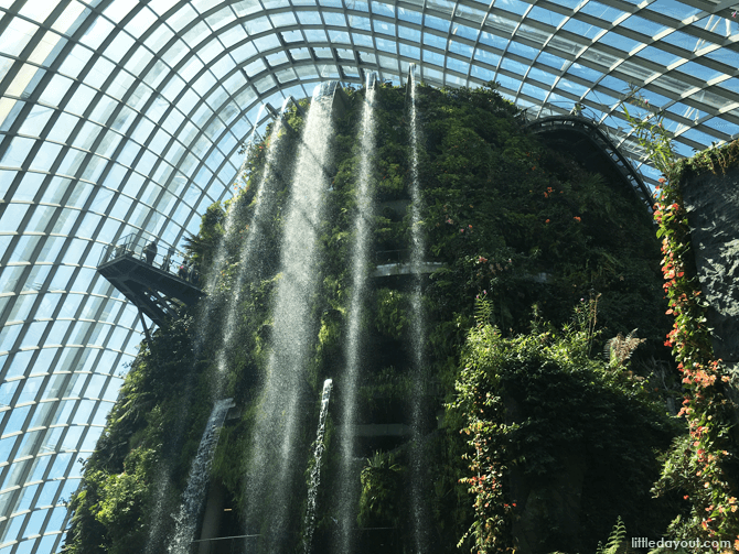 Waterfall at Cloud Forest, Gardens by the Bay
