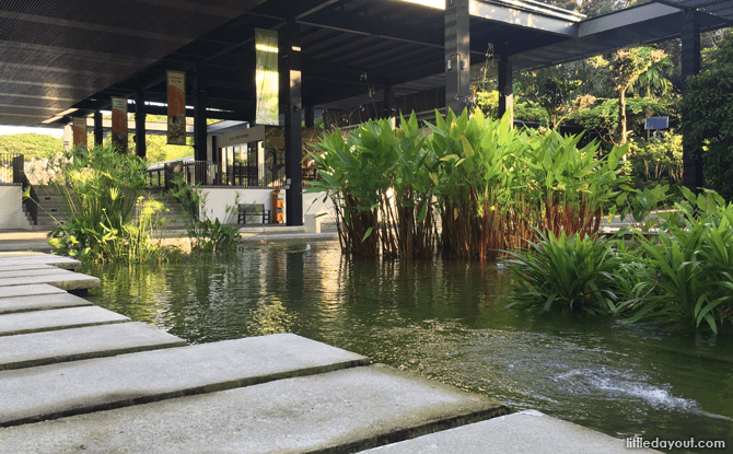 Water Garden, HortPark