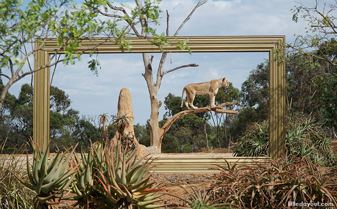 Werribee Open Range Zoo