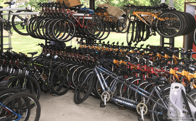 East Coast Park Bicycle Rental