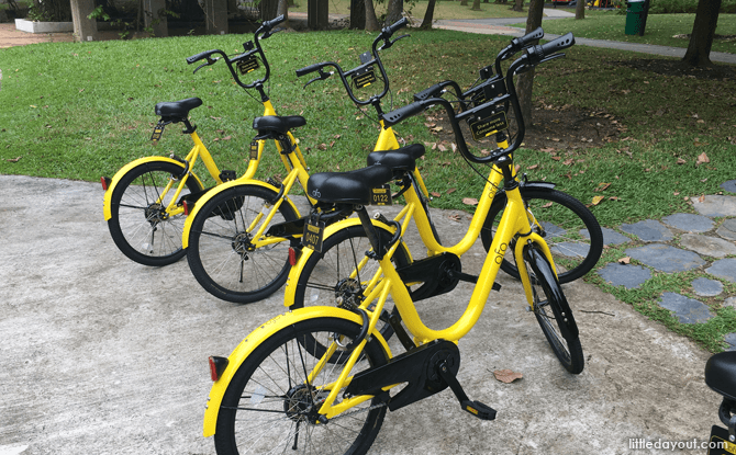 Ofo Bikes at West Coast Park, Singapore