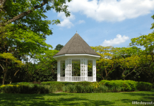 5 Things To Do This Weekend (4 & 5 July 2020)
