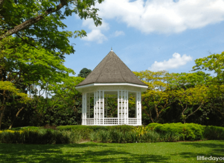 Quick Guide To Singapore Botanic Gardens: Useful Things To Know For Visitors 5 Things To Do This Weekend (4 & 5 July 2020)