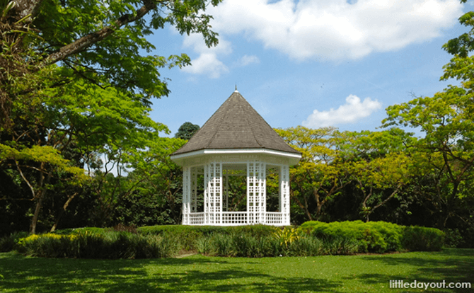 Quick Guide To Singapore Botanic Gardens: Useful Things To Know For Visitors - Little Day Out