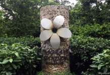 Fragrant Garden at Singapore Botanic Gardens: Breathe in the Essence of Life Fragrant Garden, Singapore Botanic Gardens