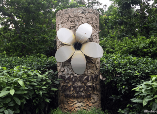 Fragrant Garden at Singapore Botanic Gardens: Breathe in the Essence of Life Fragrant Garden, Singapore Botanic Gardens
