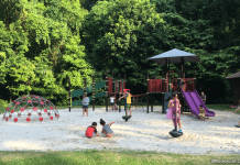 Bukit Batok Nature Park Playground