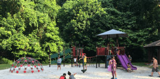 Bukit Batok Nature Park Playground