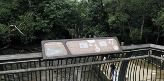 Sungei Buloh Mud Experience