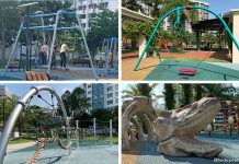 Canberra Park: Ultimate Swing Playground, Dino Bones & Rope Course